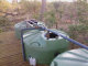 willows_3_with_gallery004008.jpg